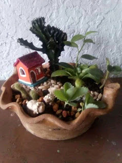 minijardin