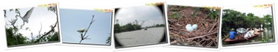 View Hải Dương - Vương quốc của những cánh cò