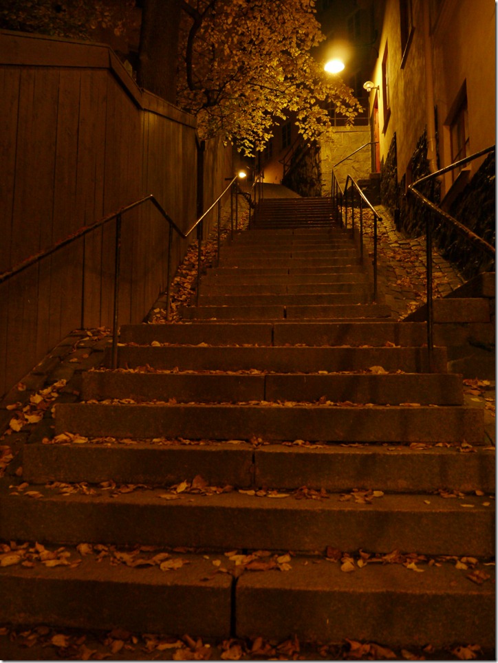 P1000381_IJFR