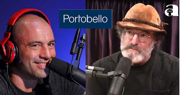 Portobello Mushroom Controversy