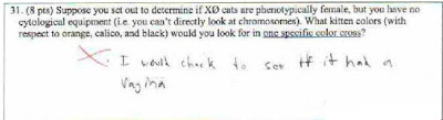 Funny Exam Answer @ today's joke