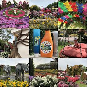 Dubai Miracle Garden collage of favourite photos