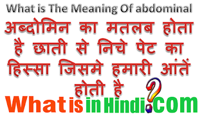 What is the meaning of Abdominal in Hindi