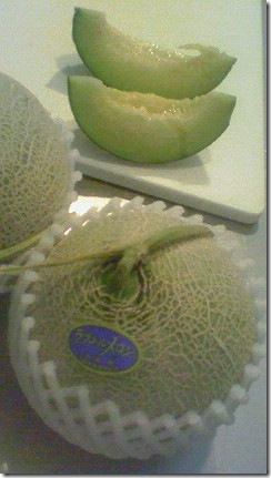 NEC_0004