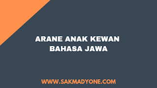 Arane anak kewan bahasa jawa