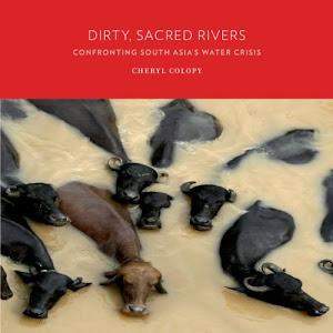 Dirty, Sacred Rivers: Confronting South Asia's Water Crisis