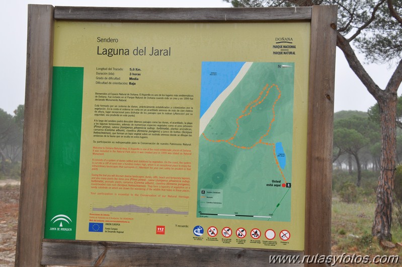 Laguna del Jaral - El Asperillo