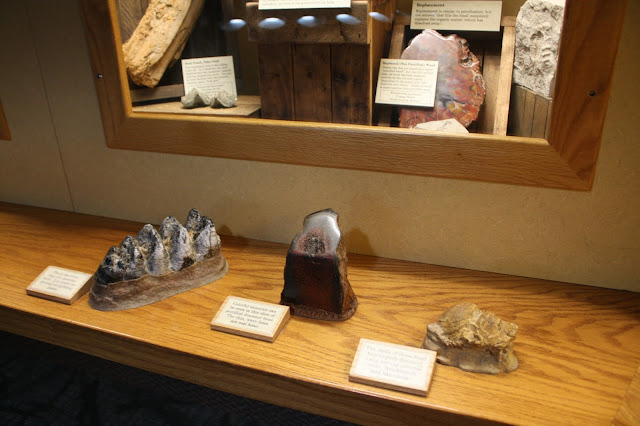 Reach out and touch fossils at the Burpee Museum of Natural History in Rockford, IL