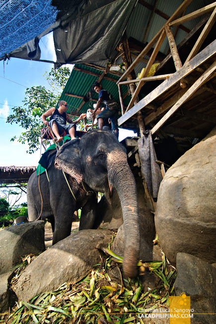 Elephant Ride at Phuket's Camp Chang Kalim 