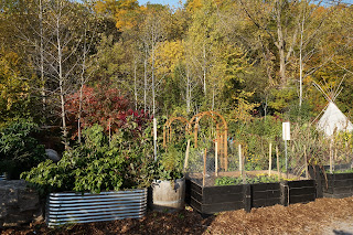 Extensive gardens on the property are themed and feature native plants.