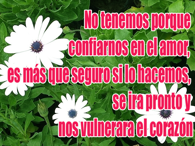 No tenemos porque confiarnos en el amor, es más que seguro si lo hacemos, se ira pronto y nos vulnerara el corazón