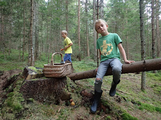 grzyby 2018, grzyby w sierpniu, grzyby na orawie, borowiki, borowik ceglastopory, borowik szlachetny, borowik usiatkowany, goryczak, porównanie podgrzybka z goryczakiem