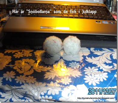 PICT0514