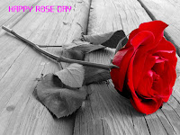 rose day wallpaper, single red rose wallpaper for computer screen, make your loving wife face smiley by sending this red rose on upcoming carnival