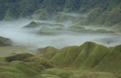  Dzukou Valley