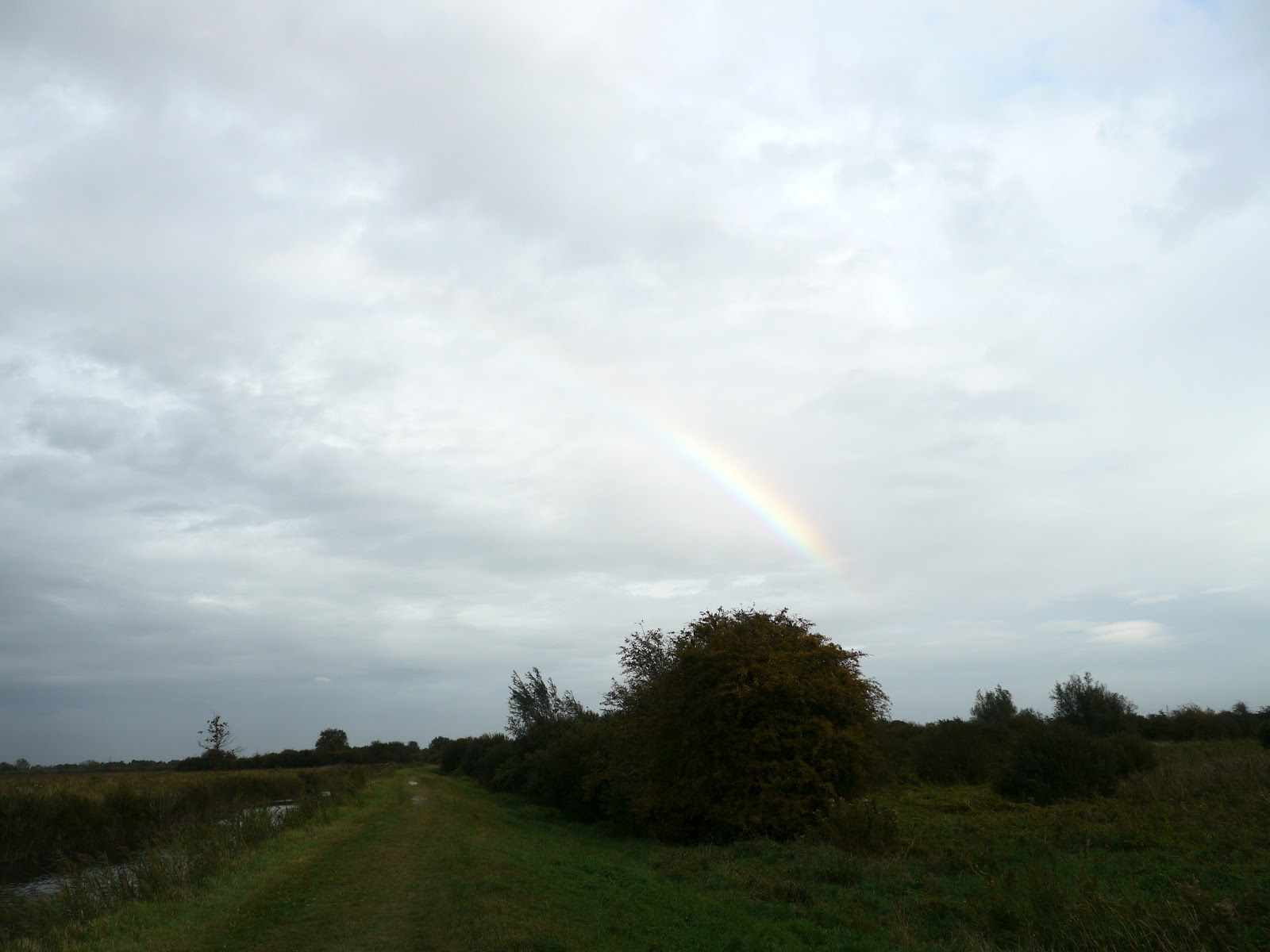 P1000251.JPG
