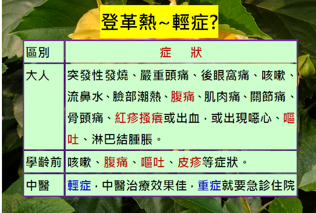 什麼是登革熱，高齡社會?