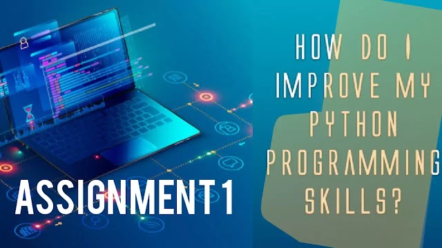 Python Program assignment wise first Assignment