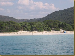 rocapinna2 - Copie