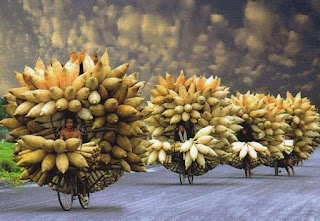 Fotografia em perspectiva numa estrada sem pavimento em uma zona rural. Três agricultores andam de bicicleta, enfileirados e, o último, caminha ao lado da bicicleta; todos quase ocultos ao centro da carga descomunal que transportam: Cestos fechados em formato cônico com aparência de enormes espigas de milho ainda envoltas na palha estão dispostos à frente do guidão e sustentados ao redor da bicicleta, amarrados harmoniosamente de maneira circular com as pontas para fora. Na parte de trás e abaixo, de cada feixe de cestos, rente à roda traseira, dezenas de bobinas (de palha) enroladas e presas por cintas finalizam o formato arredondado da inusitada carga. O céu é escuro e as nuvens aglomeram-se em forma de chumaços de algodão.