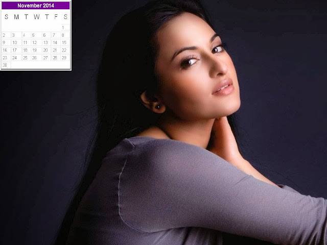 Sonakshi Sinha Calendar 2014