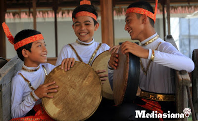 Alat Musik Tradisonal Aceh