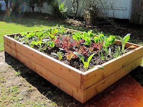 At Home At Home: DIY Raised Bed Vegetable Garden