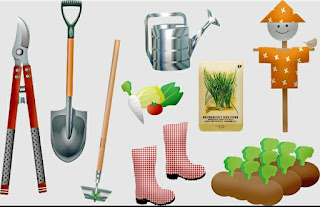15 Best Necessary Gardening Tools for Seniors