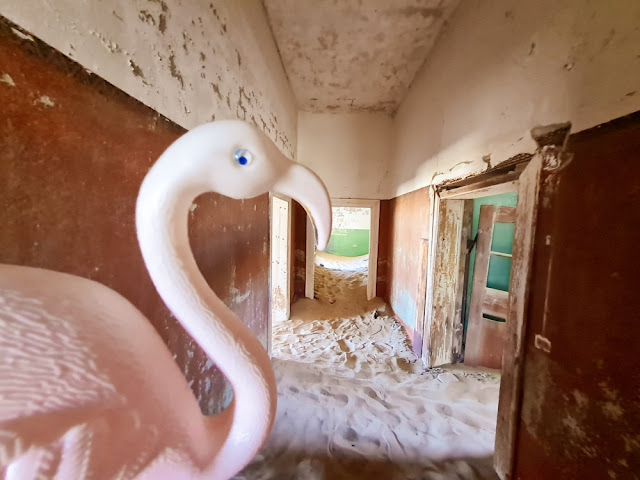 Plastic lawn flamingo travel toy in ghost town of Kolmanskop