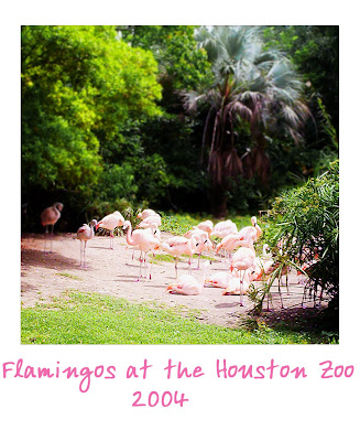 Flamingdogs