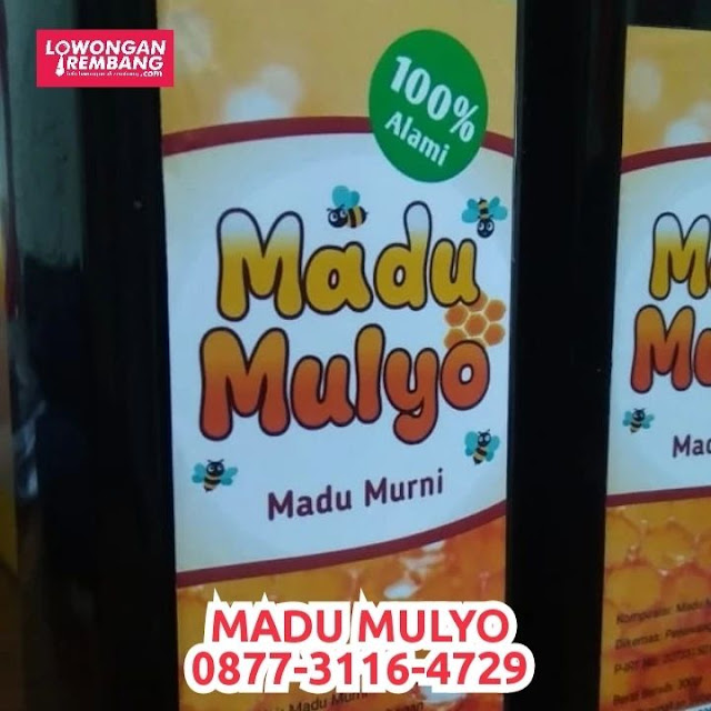 Siapa lagi yang ingin membuktikan khasiat madu asli Madu Mulyo ? Segera Hubungi WA 087-731-164-729