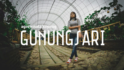 Agrowisata Kopeng Gunungsari Cover