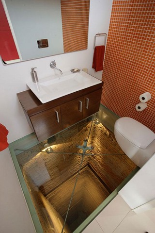7. GLASS BOTTOM TOILET