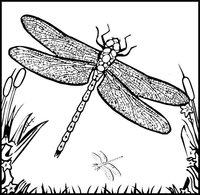 DRAGONFLY AND FAIRY COLORING PAGE title=