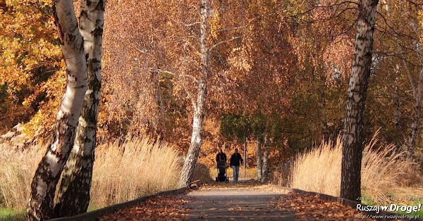 Jesień w gdańskim parku
