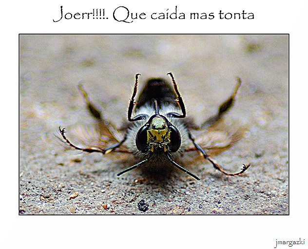 que_caida_mas_tonta