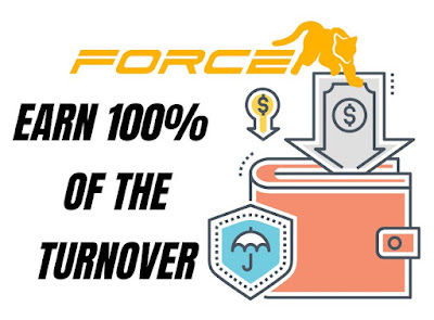 Earn 100% of the Turnover