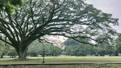 Istana Bogor - Tempat Objek Wisata Di Bogor