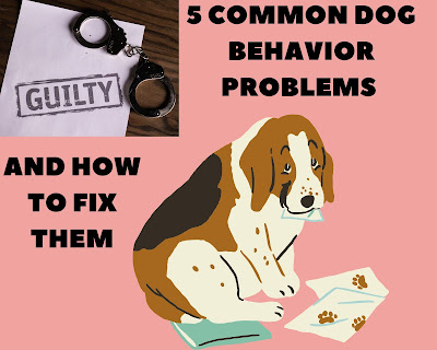 5 COMMON DOG BEHAVIOR PROBLEMS AND HOW TO FIX THEM   Dogs with behavioral issues  Dog training, Most common dog behavior problems