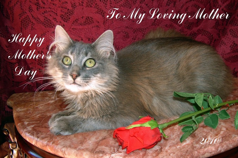mothers day cards to make for kids. mothers day cards to make with
