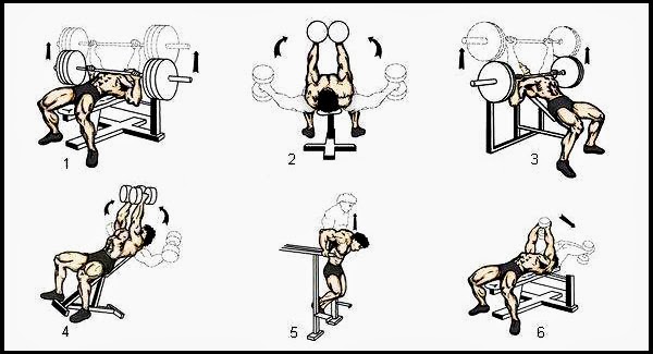 Chest Workout