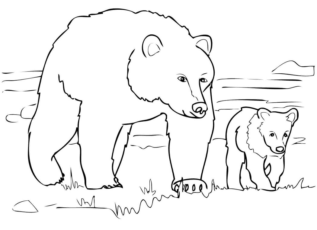 99 Gambar Hewan Kartun Beruang Terbaru Cikimmcom