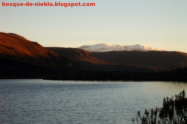 nevado del ruiz