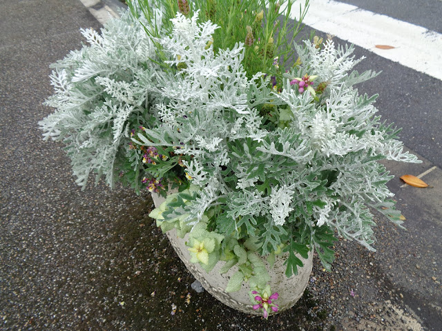 駐車場の生け花が美しいとっとり花回廊