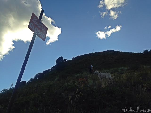 Hiking to Murdock Peak, Hiking in Utah with Dogs