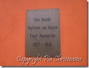 P1010162