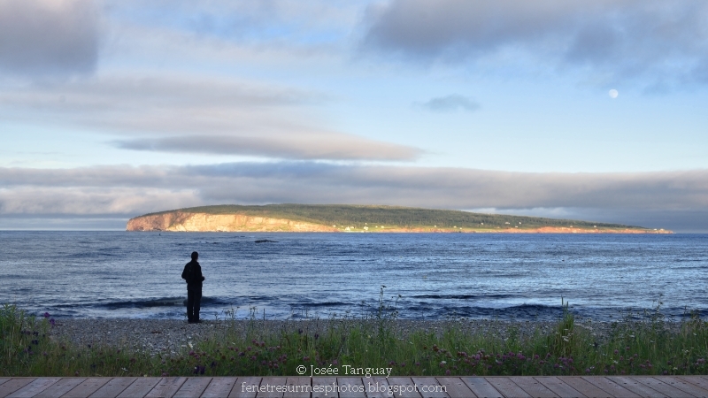 Homme face à l'île Bonaventure