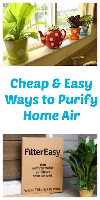 Cheap and Easy Ways to Purify Home Air - 3 Simple Tips