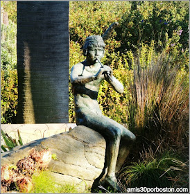 Golden Gate Park: "Pool of Enchantment"