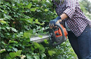 Best Hedge Trimmer